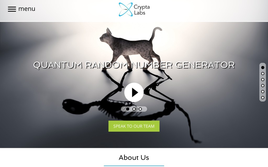 The website of Crypta Labs